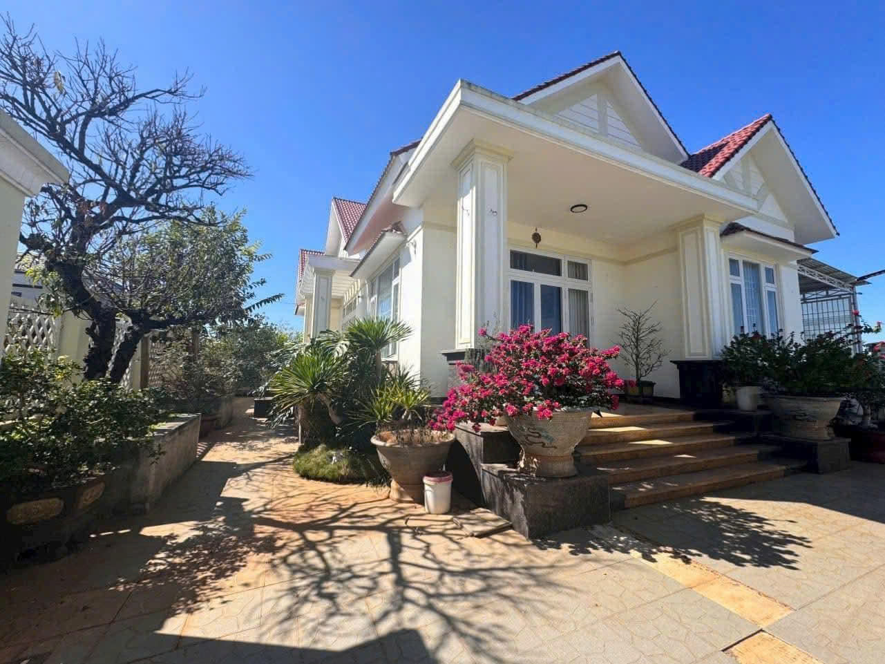 Bán villa sân vườn 1038 m2 - thị trấn liên nghĩa đức trọng lâm đồng  giá 11 Tỷ 3