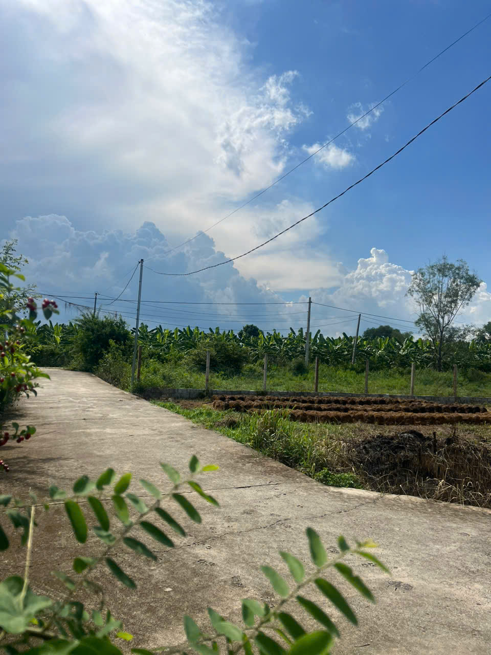 Cần bán Đất Xã Suối Tiên, Diên Khánh, Diện tích 90m², Giá 400 Triệu