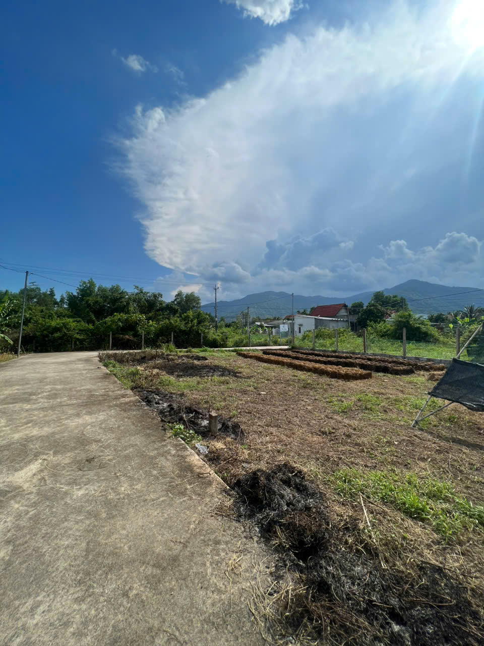 Cần bán Đất Xã Suối Tiên, Diên Khánh, Diện tích 90m², Giá 400 Triệu 4