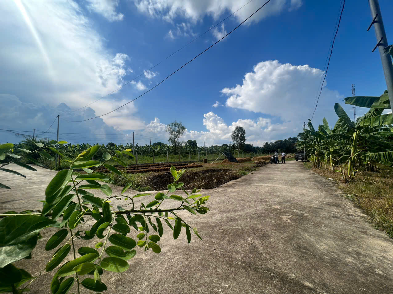 Cần bán Đất Xã Suối Tiên, Diên Khánh, Diện tích 90m², Giá 400 Triệu 5