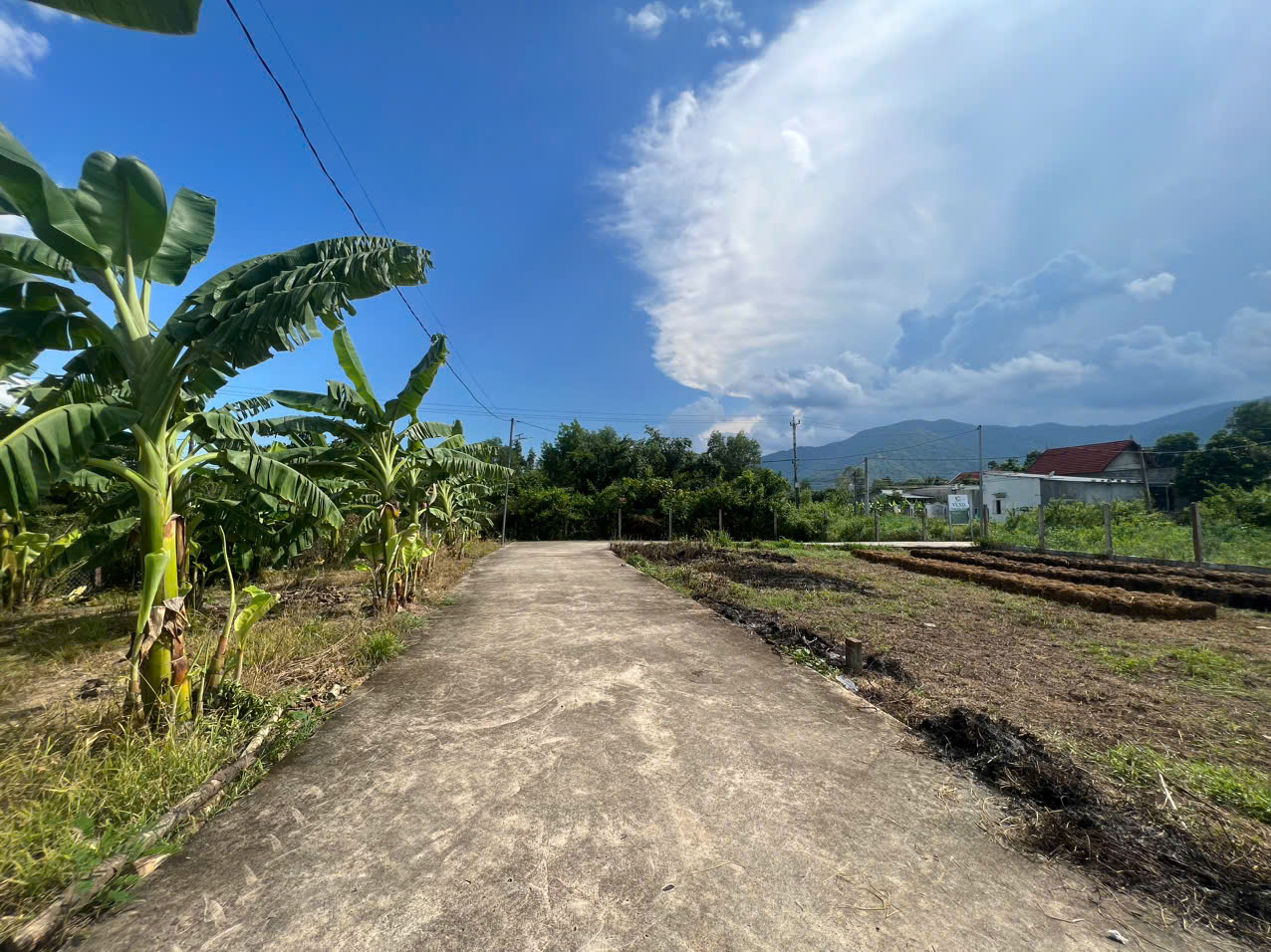 Cần bán Đất Xã Suối Tiên, Diên Khánh, Diện tích 90m², Giá 400 Triệu 6