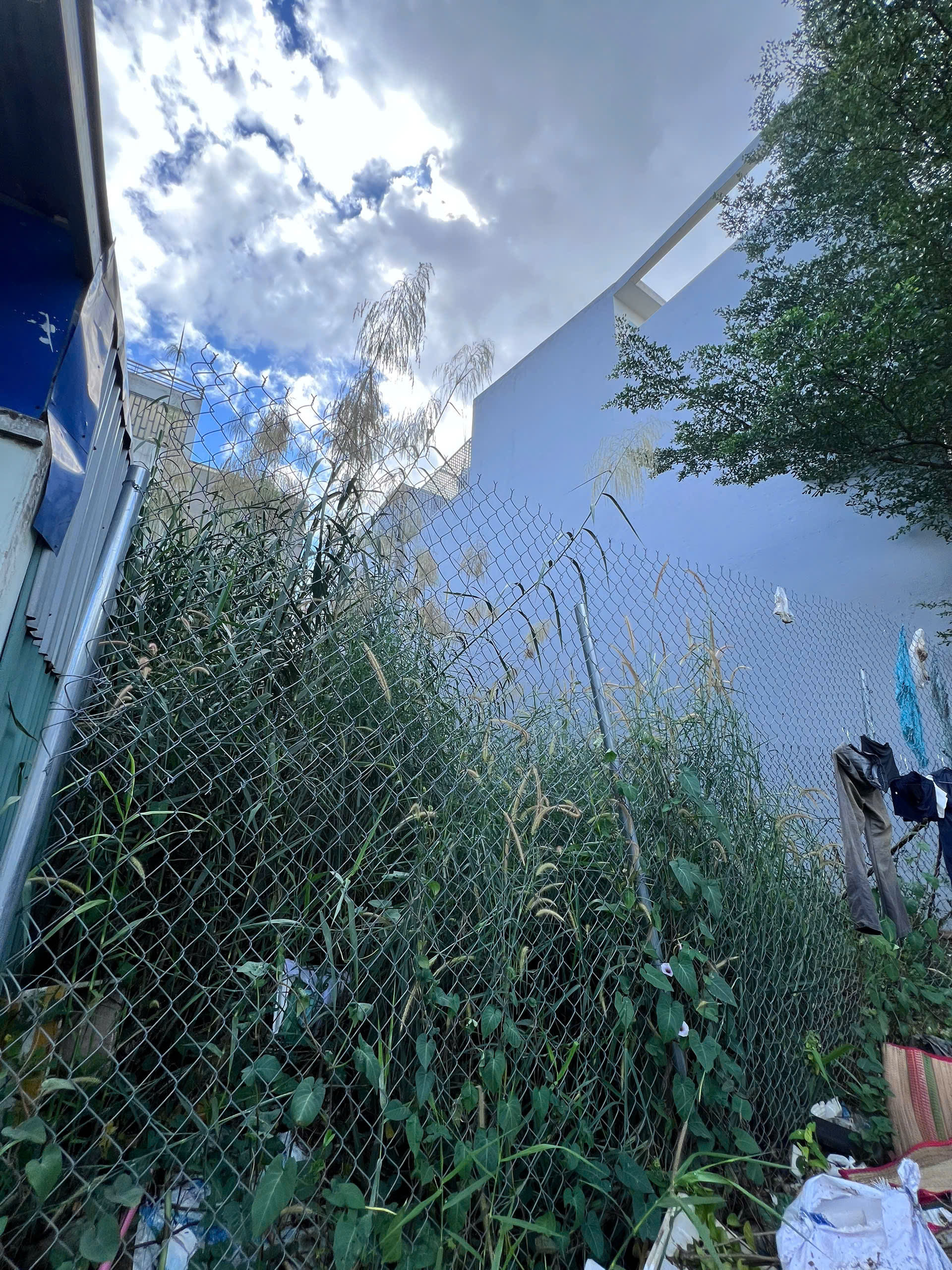 Cần bán Đất Phường Phú Hữu, Quận 9, Diện tích 67.2m², Giá Thương lượng