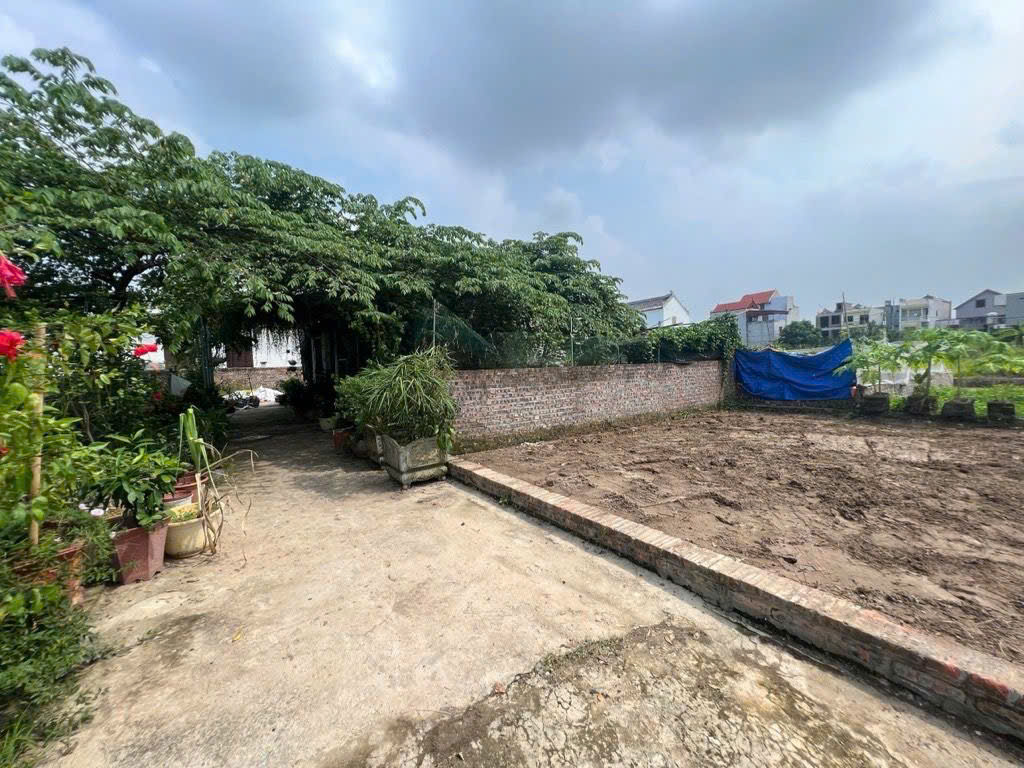 Chỉ 3,15 TỶ - sở hữu lô đất 52M2 thôn Ấp Tre mặt tiền 6M khủng - sát KCN Quang Minh 3