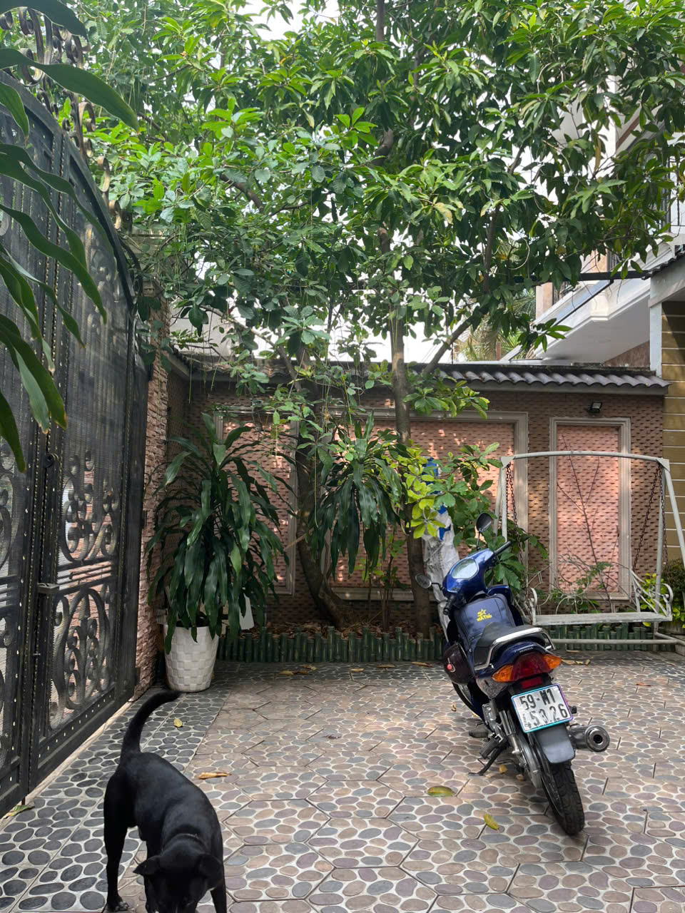 Cần bán Biệt thự Phường Bình Trưng Đông, Quận 2, Diện tích 309m², Giá 29 Tỷ 7