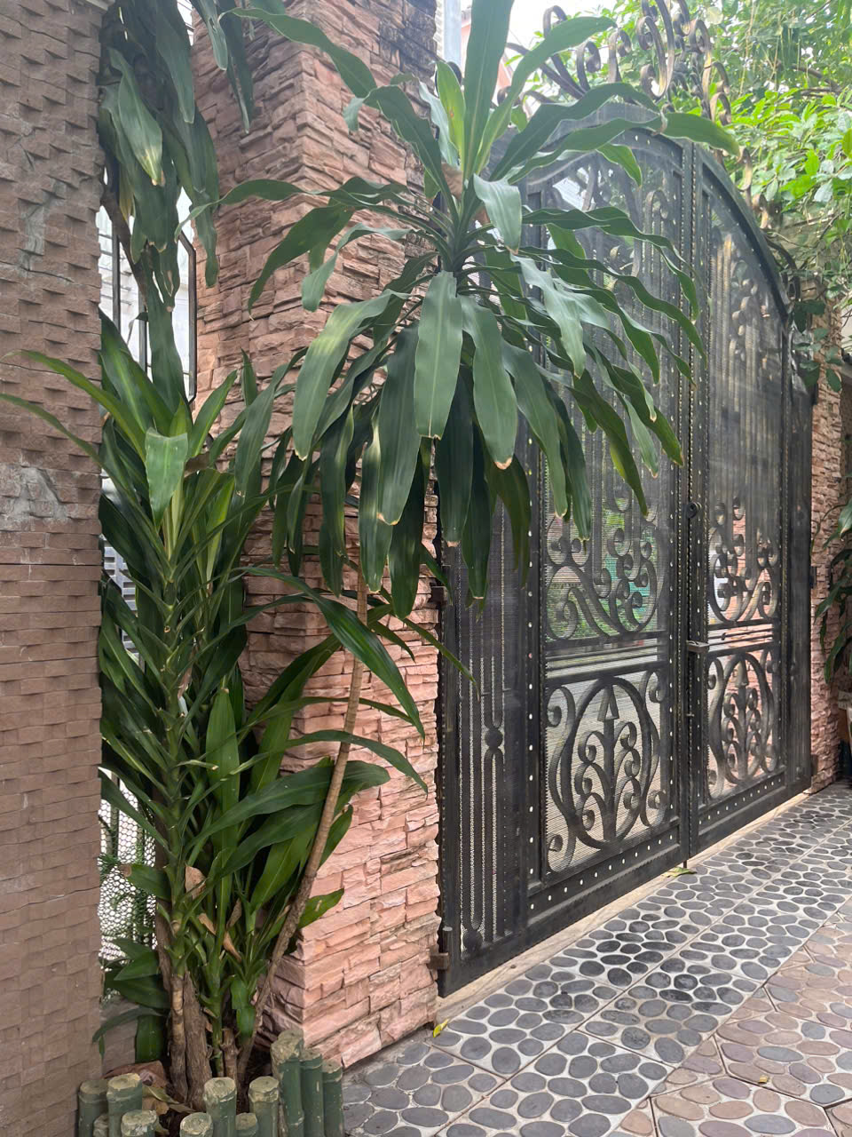 Cần bán Biệt thự Phường Bình Trưng Đông, Quận 2, Diện tích 309m², Giá 29 Tỷ 6