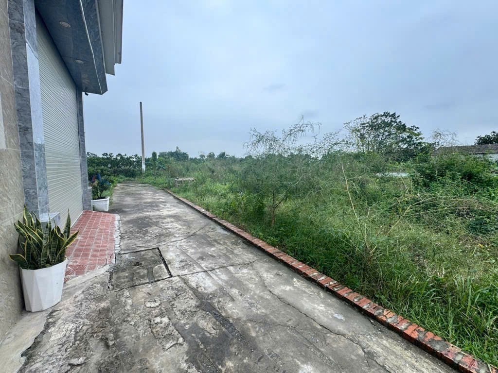 50m đất tổ 9, Quang Minh, Mê Linh. Nằm sát khu công nghiệp Quang Minh. Mặt tiền rộng