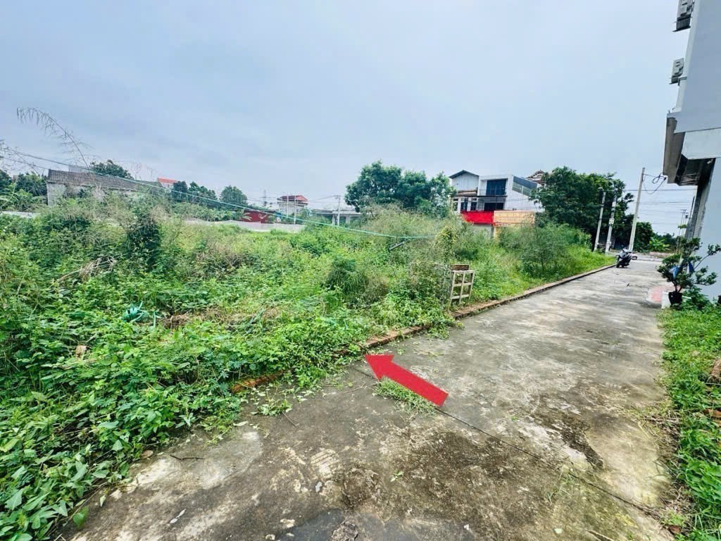 50m đất tổ 9, Quang Minh, Mê Linh. Nằm sát khu công nghiệp Quang Minh. Mặt tiền rộng 2