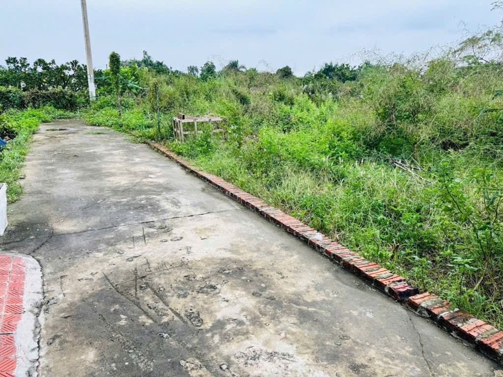 50m đất tổ 9, Quang Minh, Mê Linh. Nằm sát khu công nghiệp Quang Minh. Mặt tiền rộng 3