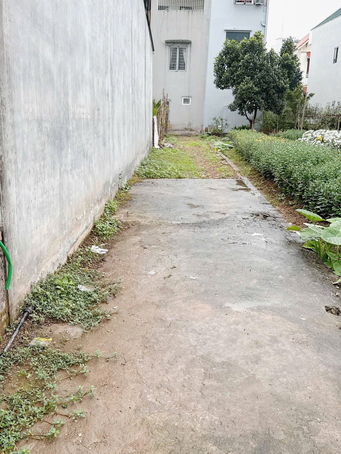 Bán 2 lô đất ngõ phố Bảo Tháp, ph Tân Hưng, TP HP mới, 47.3m2, 48m2, mt 4m, chỉ 1.49 tỷ 3