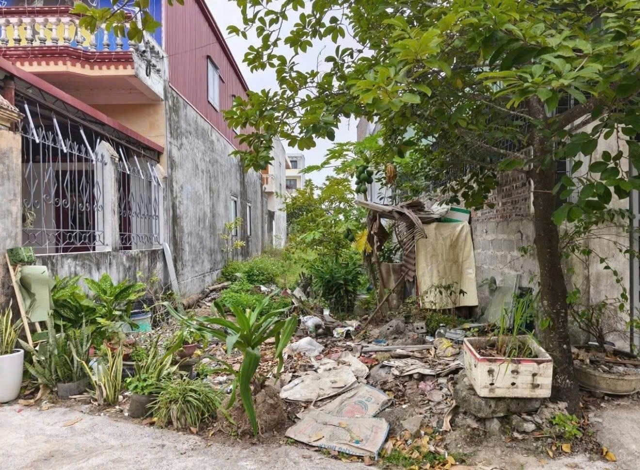 ĐẤT TUYẾN 2 ĐƯỜNG THANH NIÊN – ĐỒ SƠN  GIÁ 26,x TR/M²  QUỸ ĐẤT GẦN BIỂN – THANH KHOẢN TỐT  ZALO 3