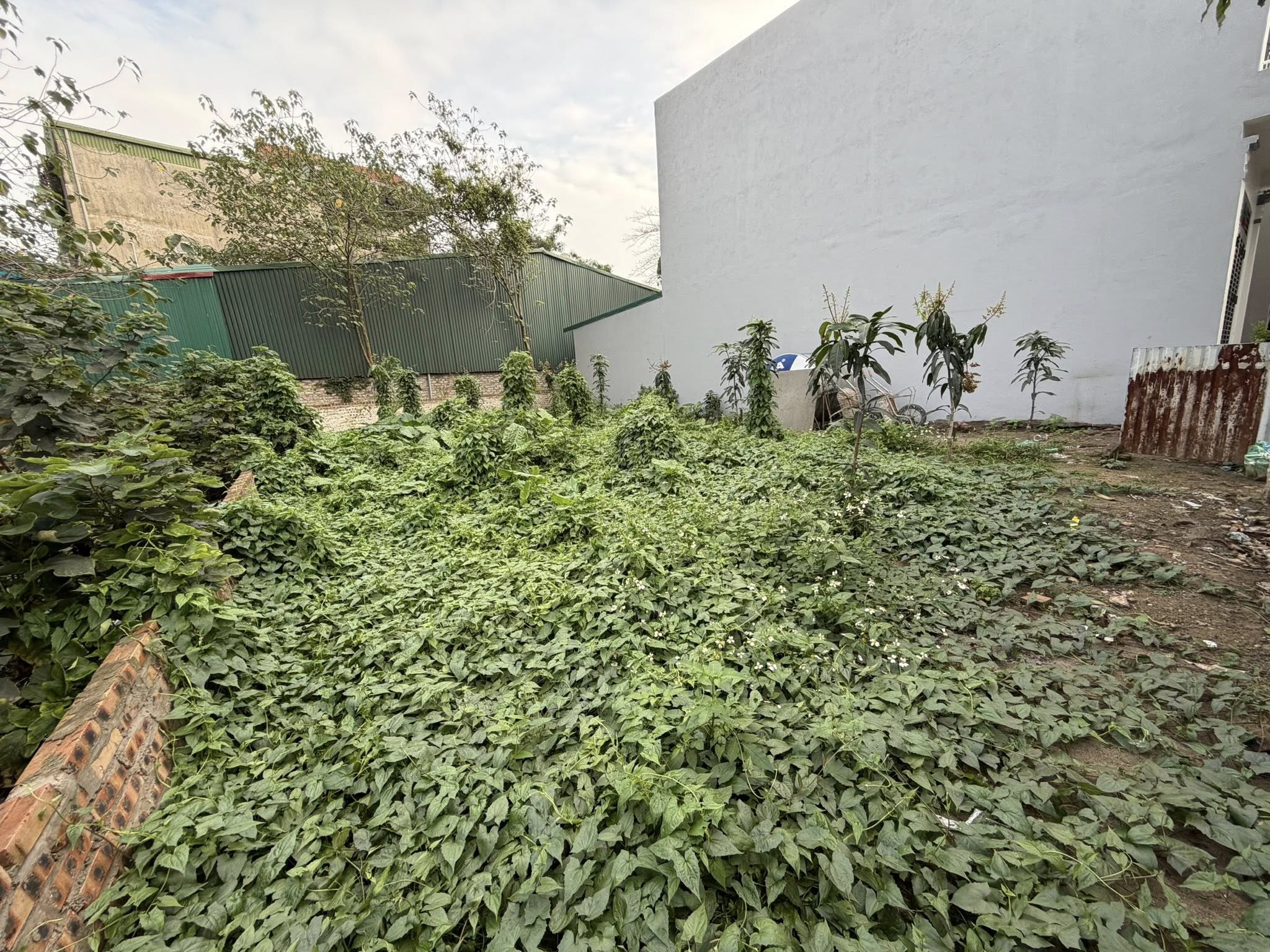 CẦN BÁN 238M ĐẤT-BÁT KHỐI GIA LÂM-LÔ GÓC-VIEW HỒ-MẶT TIỀN RỘNG-MẶT NGÕ ÔTÔ TRÁNH