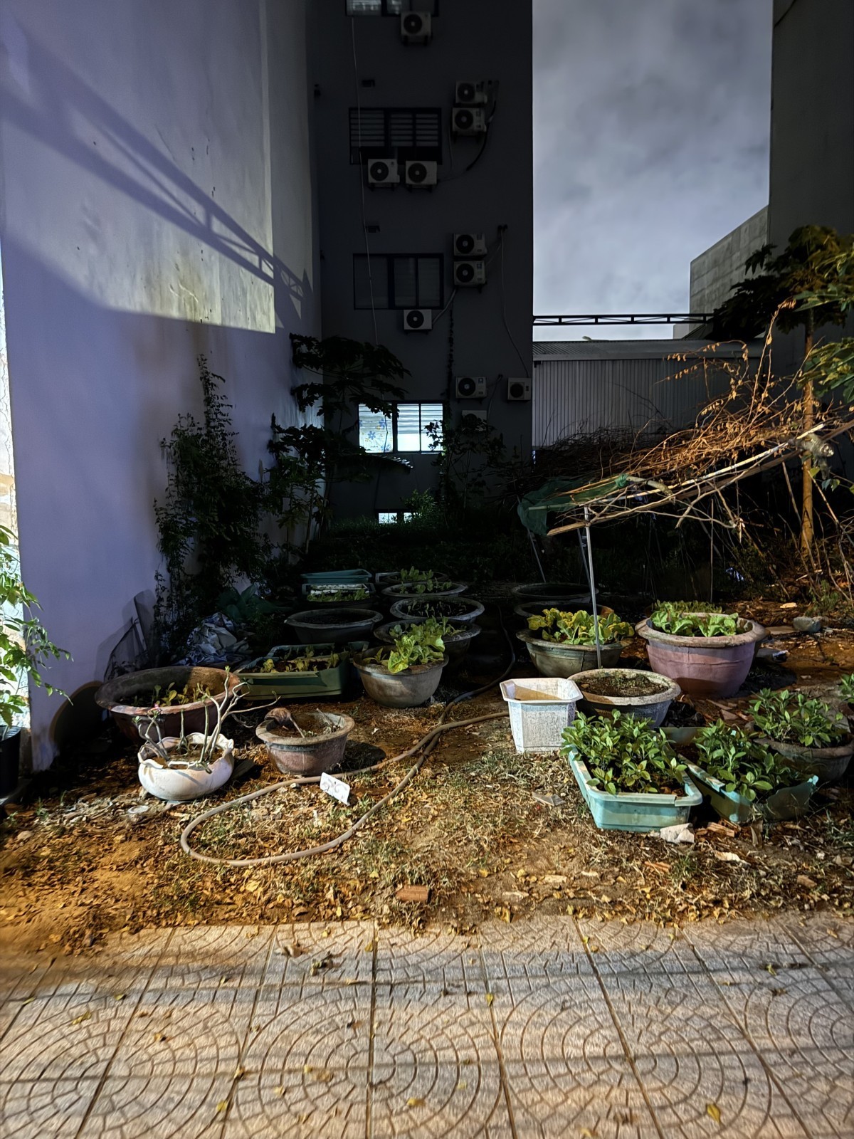 Bán đất Trần Đức Thông 80m² (5x16) giá 11.9 tỷ – cách biển vài bước