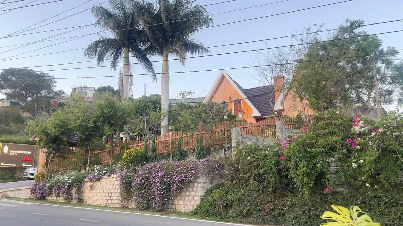 Cần Bán Biệt Thự Đẹp 2 Mặt Tiền Đường Đống Đa, Đà Lạt 3