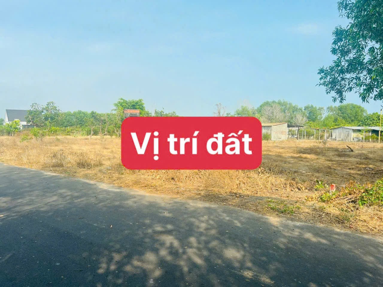 Cần bán Đất đường 44A, Thị trấn Phước Hải, Diện tích 194m², Giá 900 Triệu 2