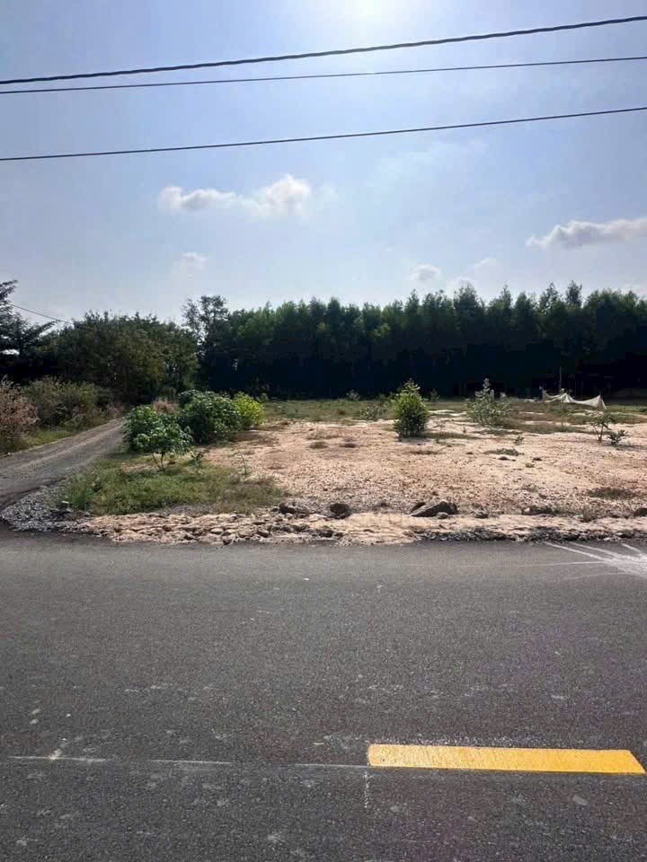 Cần bán Đất đường 44A, Thị trấn Phước Hải, Diện tích 156m², Giá 900 Triệu 2