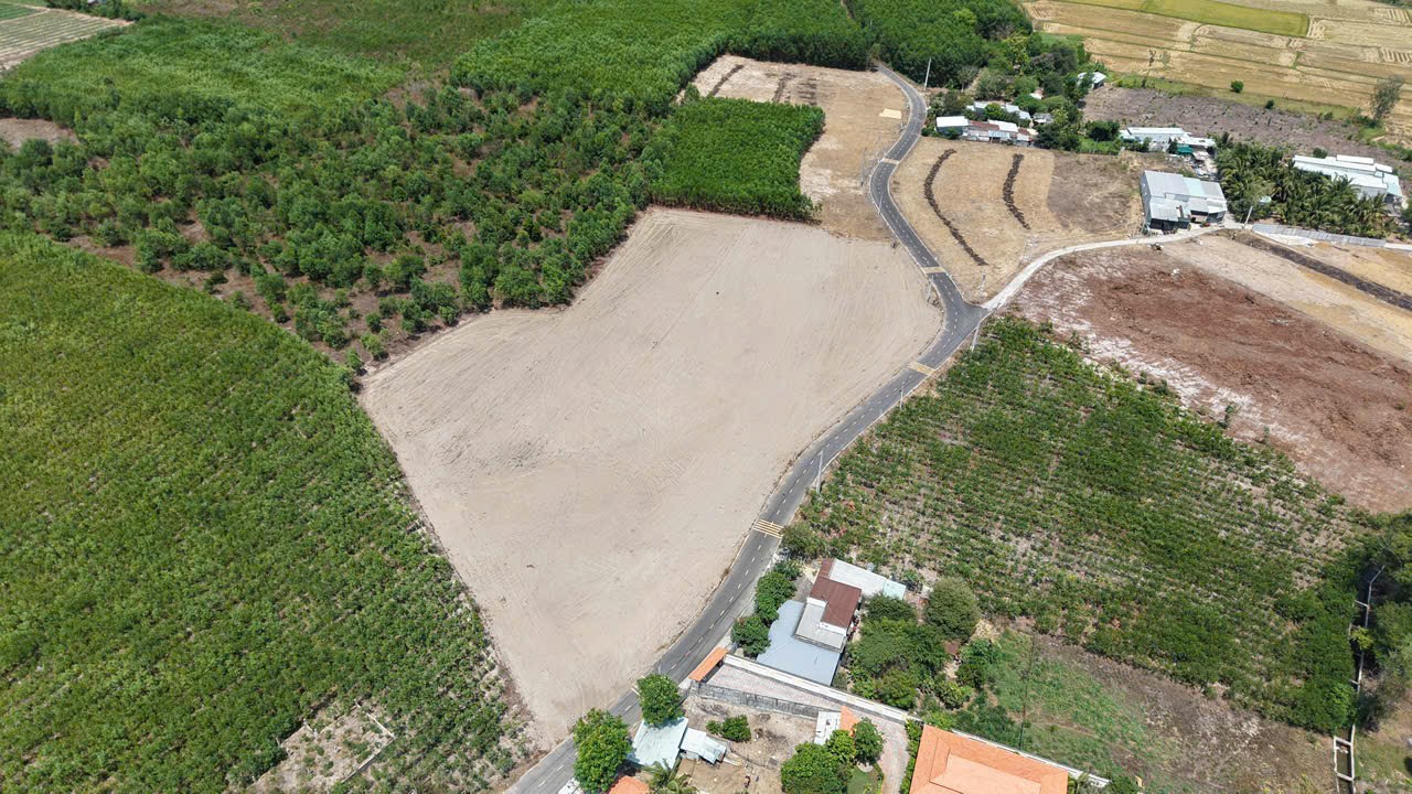 Cần bán Đất đường Long Tân-Láng Dài, Xã Phước Long Thọ, Diện tích 5569m², Giá 1.25 Tỷ 3