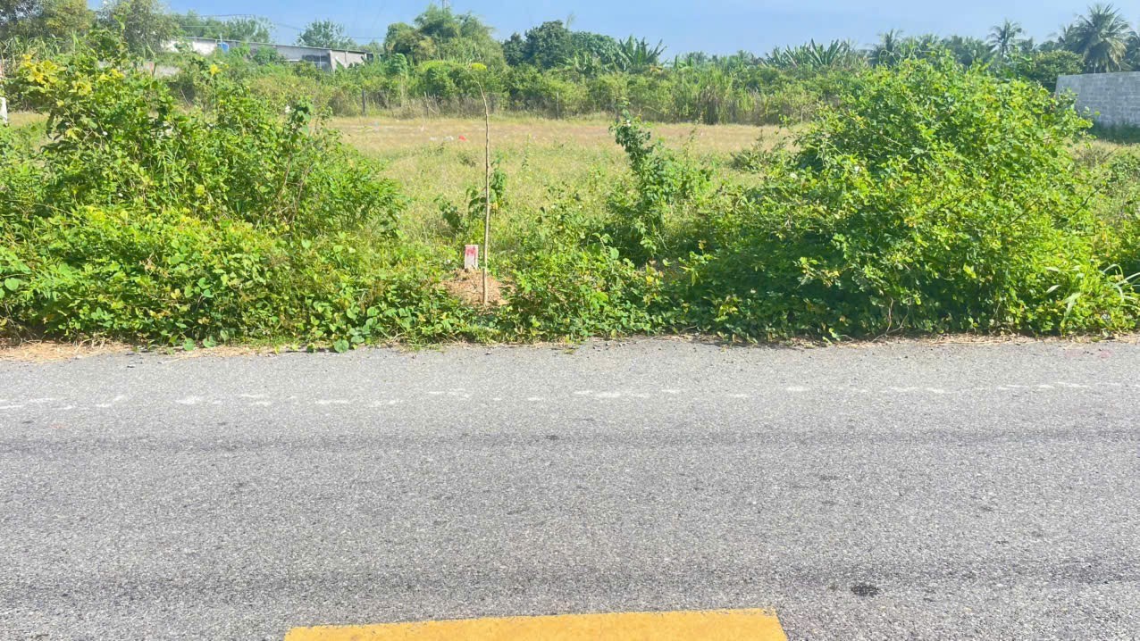 Cần bán Đất đường Tỉnh lộ 44, Thị trấn Phước Hải, Diện tích 172m², Giá 1 Tỷ 5