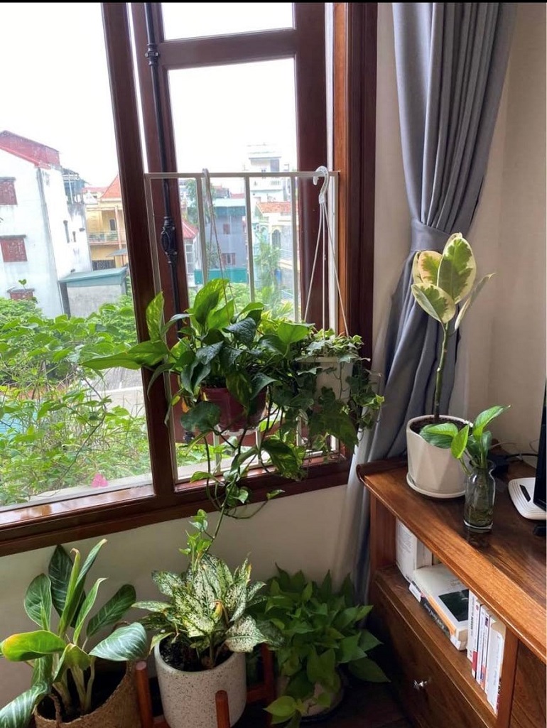 Cho thuê Căn hộ chung cư đường Tứ Liên, Phường Tứ Liên, Diện tích 50m², Giá 11 Triệu/tháng 2