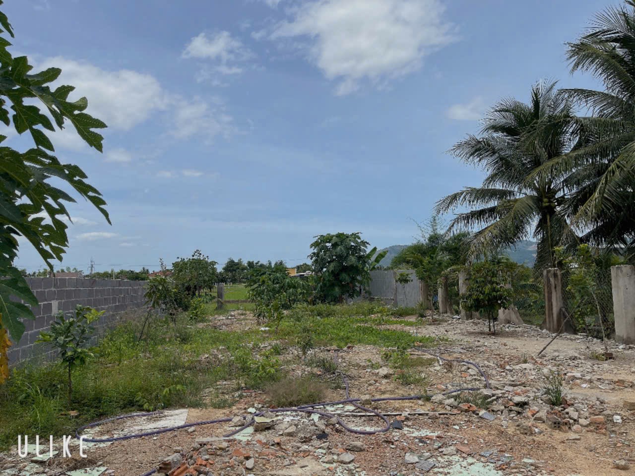 Bán đất Diên Hoà thôn Bình Khánh sau lưng trường Trần Đại Nghĩa sát bên Hương Lộ 39