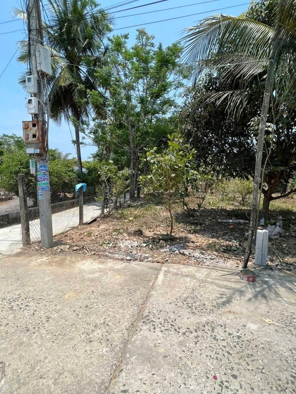 Bán đất Diên Lâm thôn Thượng giá rẻ full thổ cư sát bên Hương Lộ 39 2