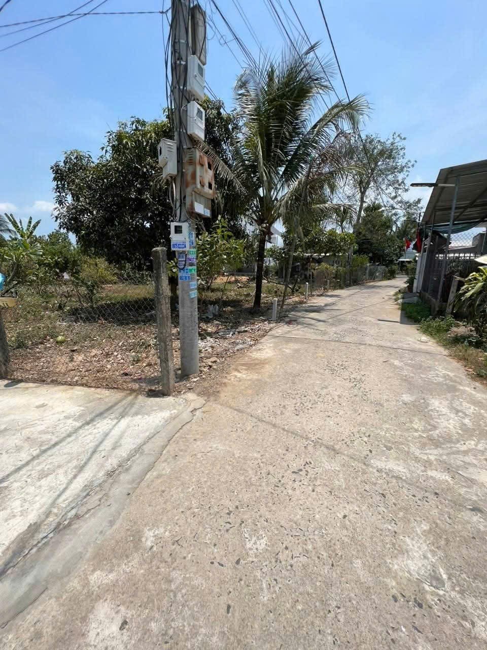 Bán đất Diên Lâm thôn Thượng giá rẻ full thổ cư sát bên Hương Lộ 39 3