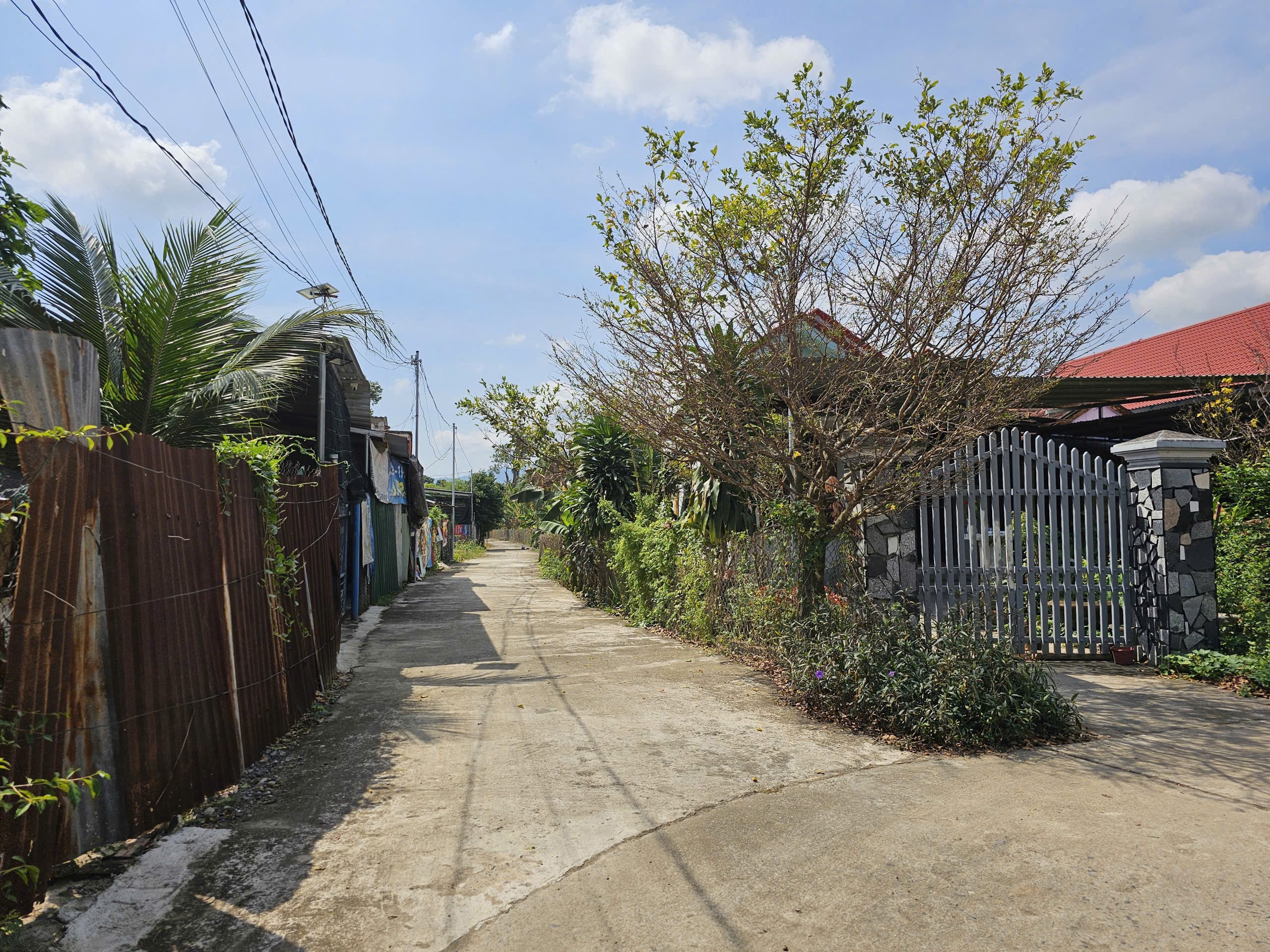 Bán đất Diên Phước giáp ranh Diên Hoà cách Hương Lộ 39 chỉ 200m 6