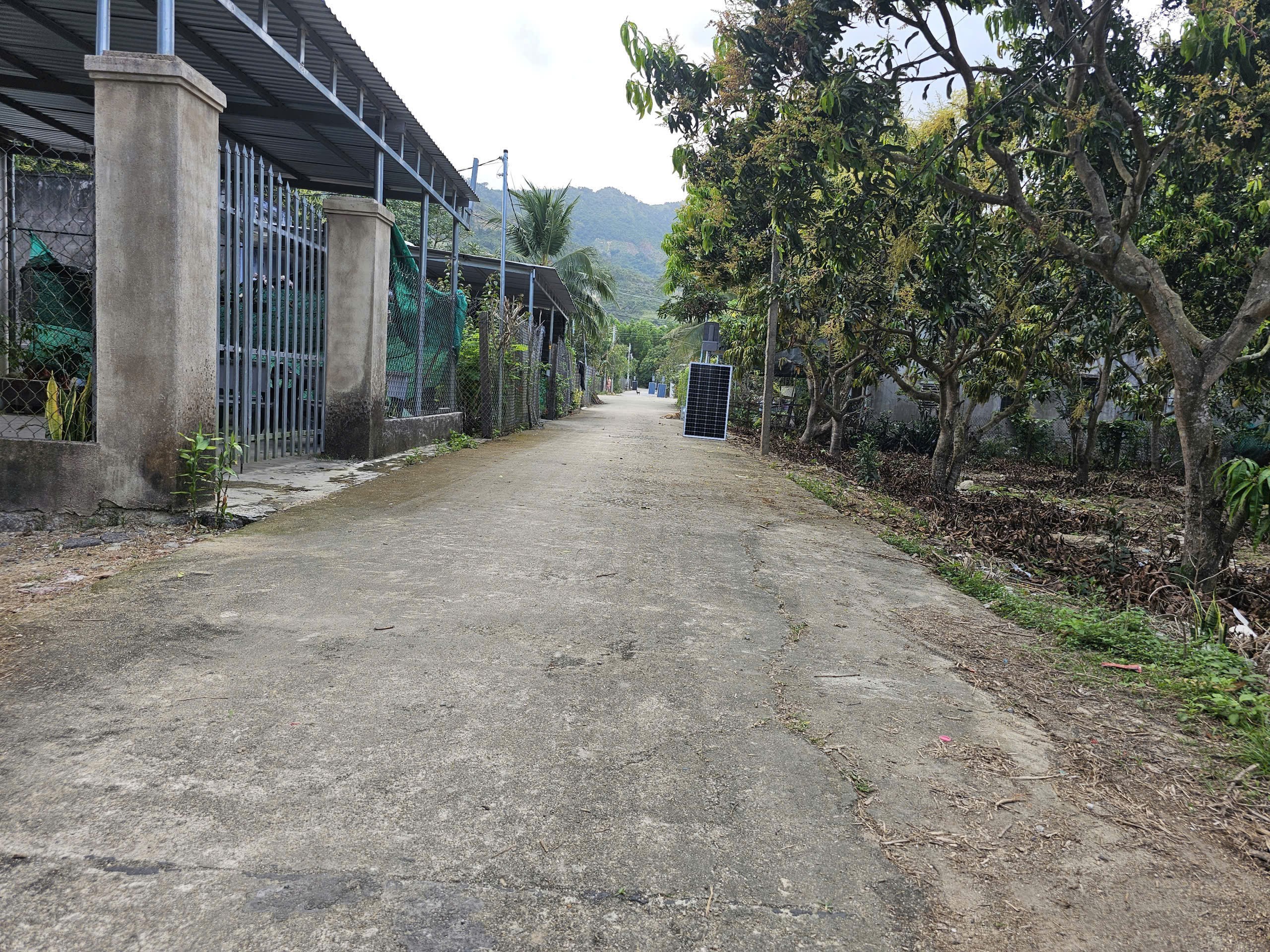 Bán đất Suối Cát - Cam Lâm thôn Tân Xương 2 đường bê tông thông thoáng các hướng 3