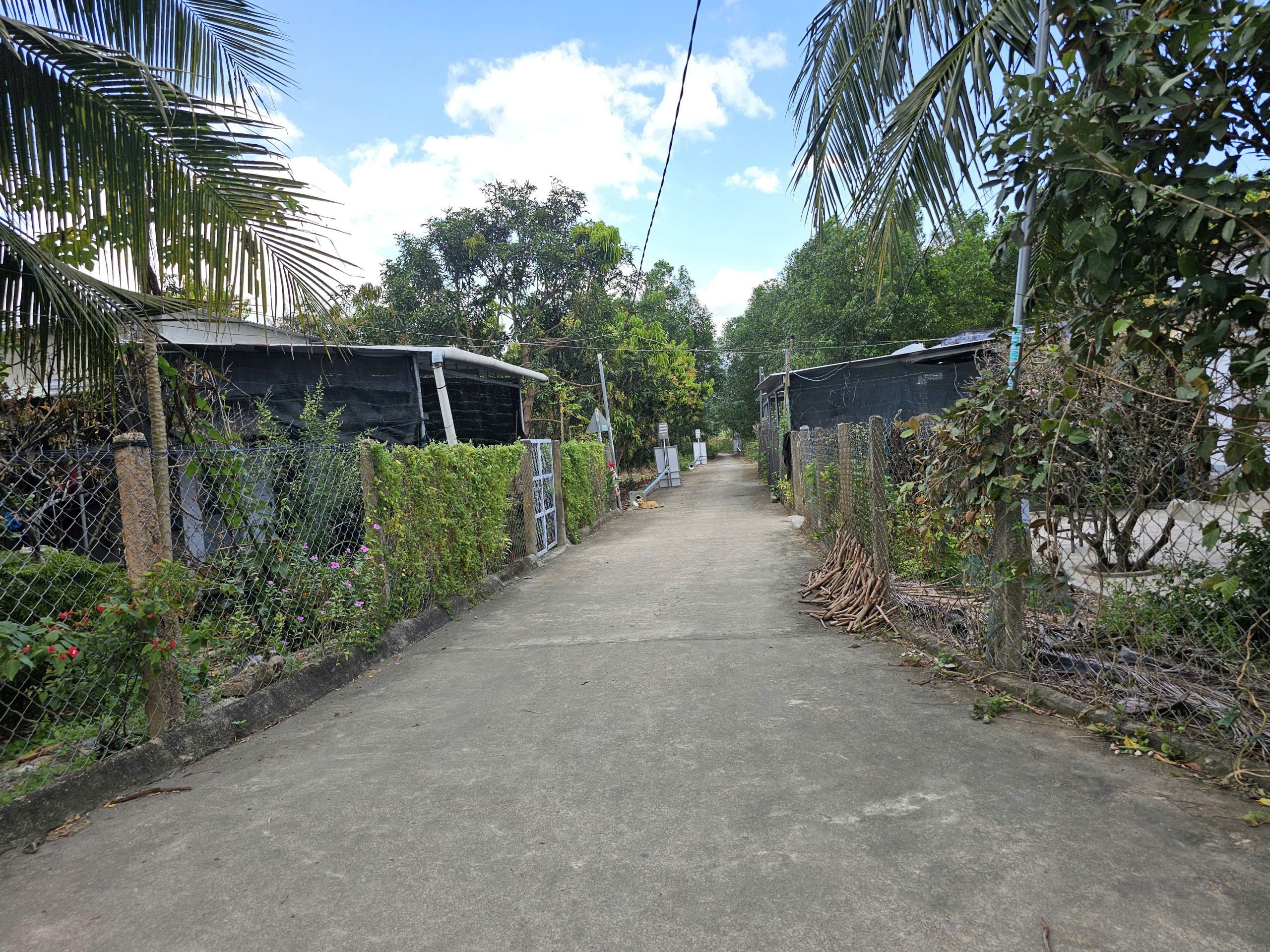 Bán đất Suối Cát - Cam Lâm thôn Tân Xương 2 đường bê tông thông thoáng các hướng 4