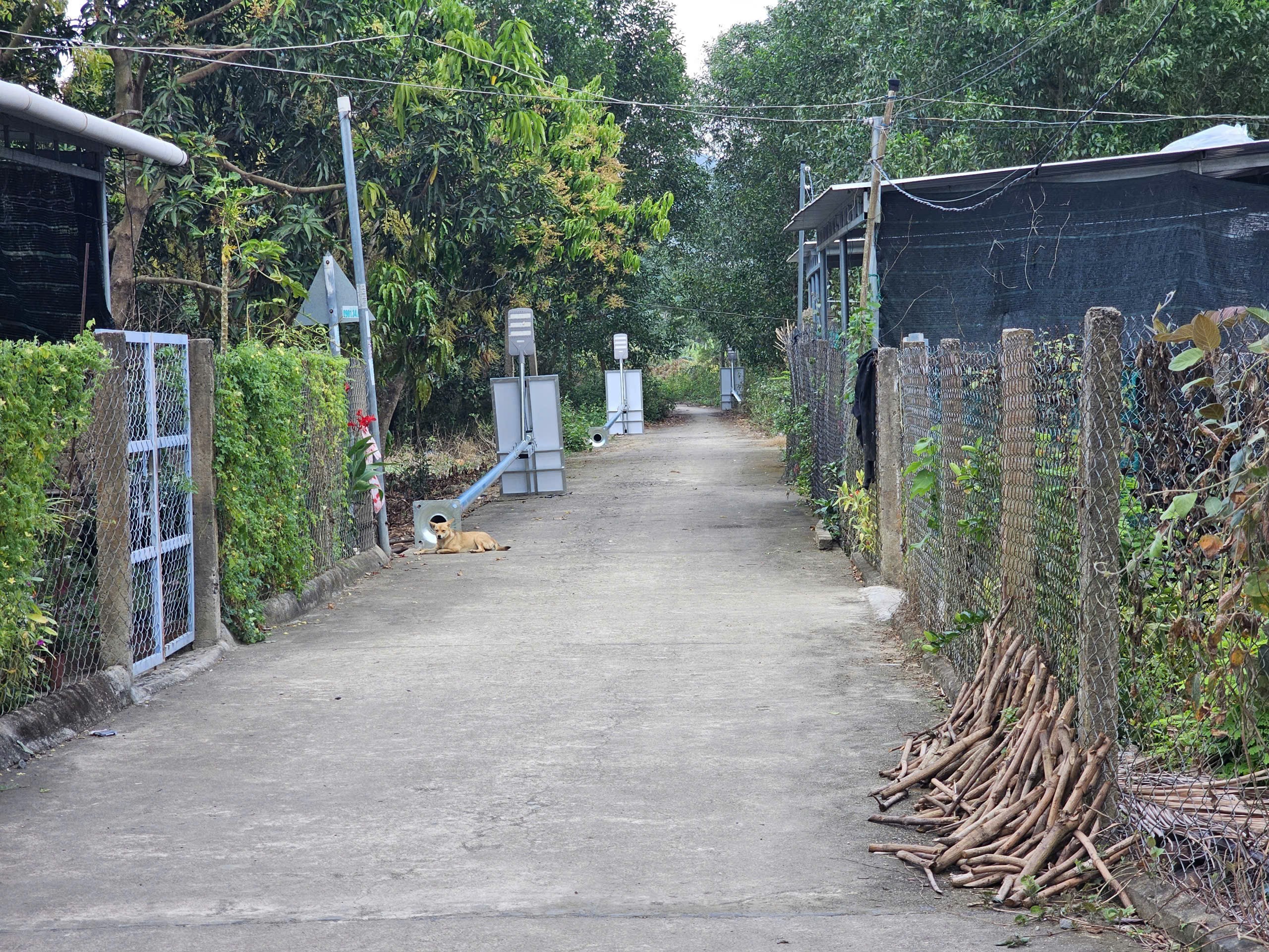 Bán đất Suối Cát - Cam Lâm thôn Tân Xương 2 đường bê tông thông thoáng các hướng 5