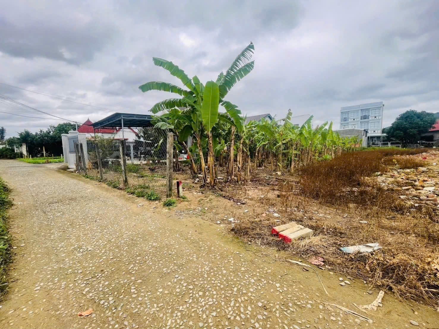 Bán đất Diên Sơn full thổ cư mặt đường Xóm Gò 14 5