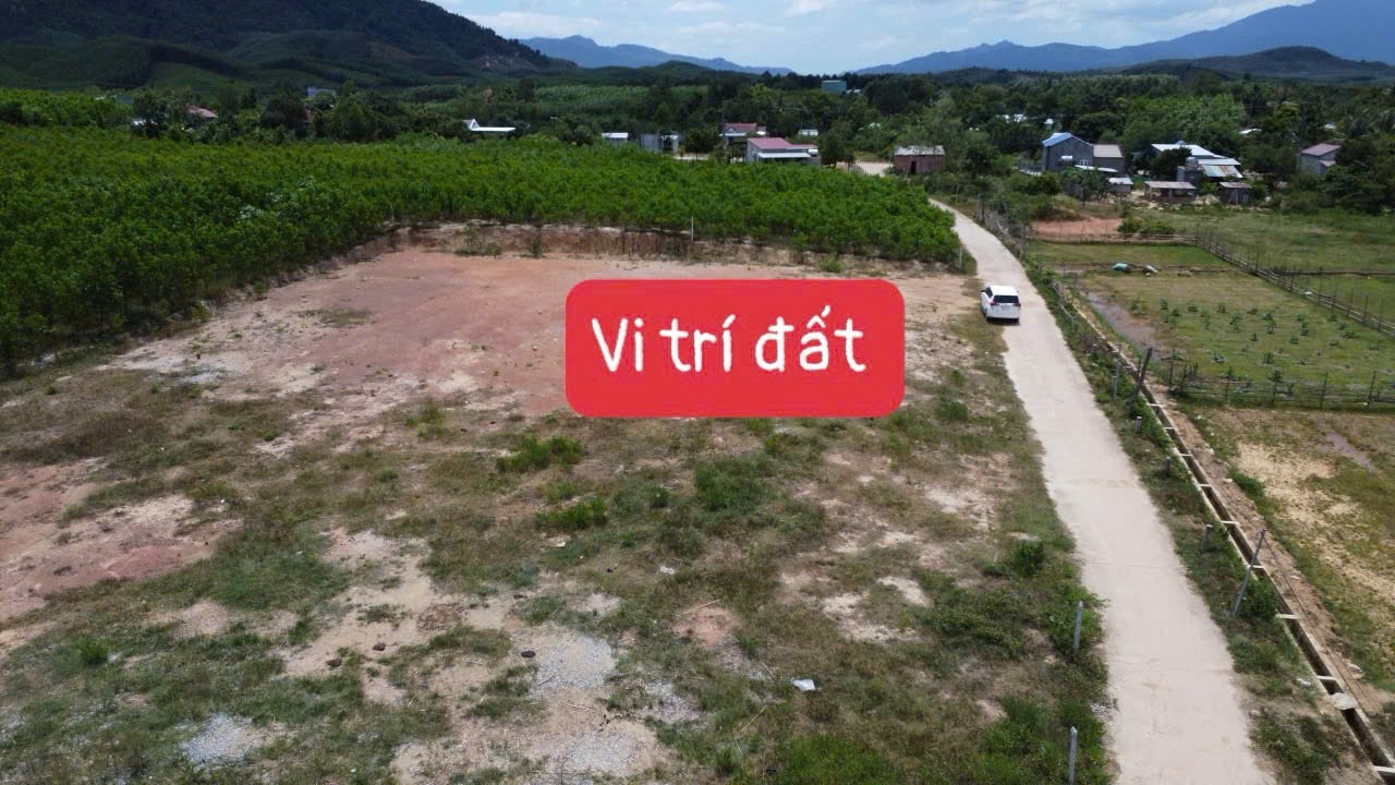 Bán đất Khánh Trung giá rẻ sẵn thổ cư ngay trung tâm xã - đường bê tông ô tô tận nơi 5