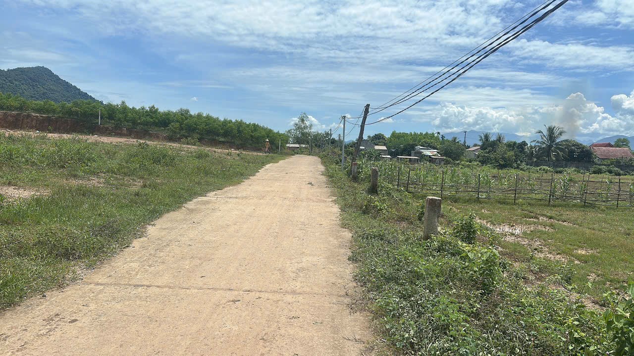 Bán đất Khánh Trung giá rẻ sẵn thổ cư ngay trung tâm xã - đường bê tông ô tô tận nơi 8