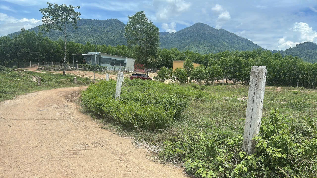 Bán đất Khánh Trung giá rẻ sẵn thổ cư ngay trung tâm xã - đường bê tông ô tô tận nơi 9