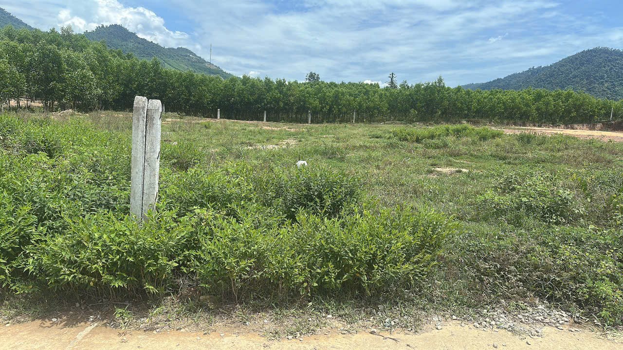 Bán đất Khánh Trung giá rẻ sẵn thổ cư ngay trung tâm xã - đường bê tông ô tô tận nơi 10