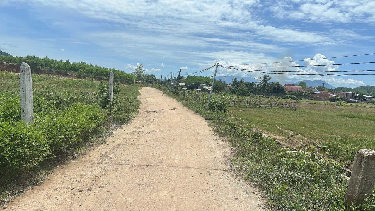 Bán đất Khánh Trung giá rẻ sẵn thổ cư ngay trung tâm xã - đường bê tông ô tô tận nơi 11