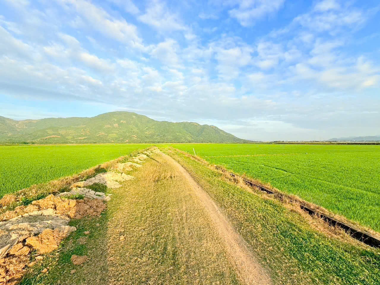 Bán ruộng Diên Điền thôn Trung 2 sát bên Hương Lộ 5 và Am Chúa chỉ 95 triệu 1 Sào 4