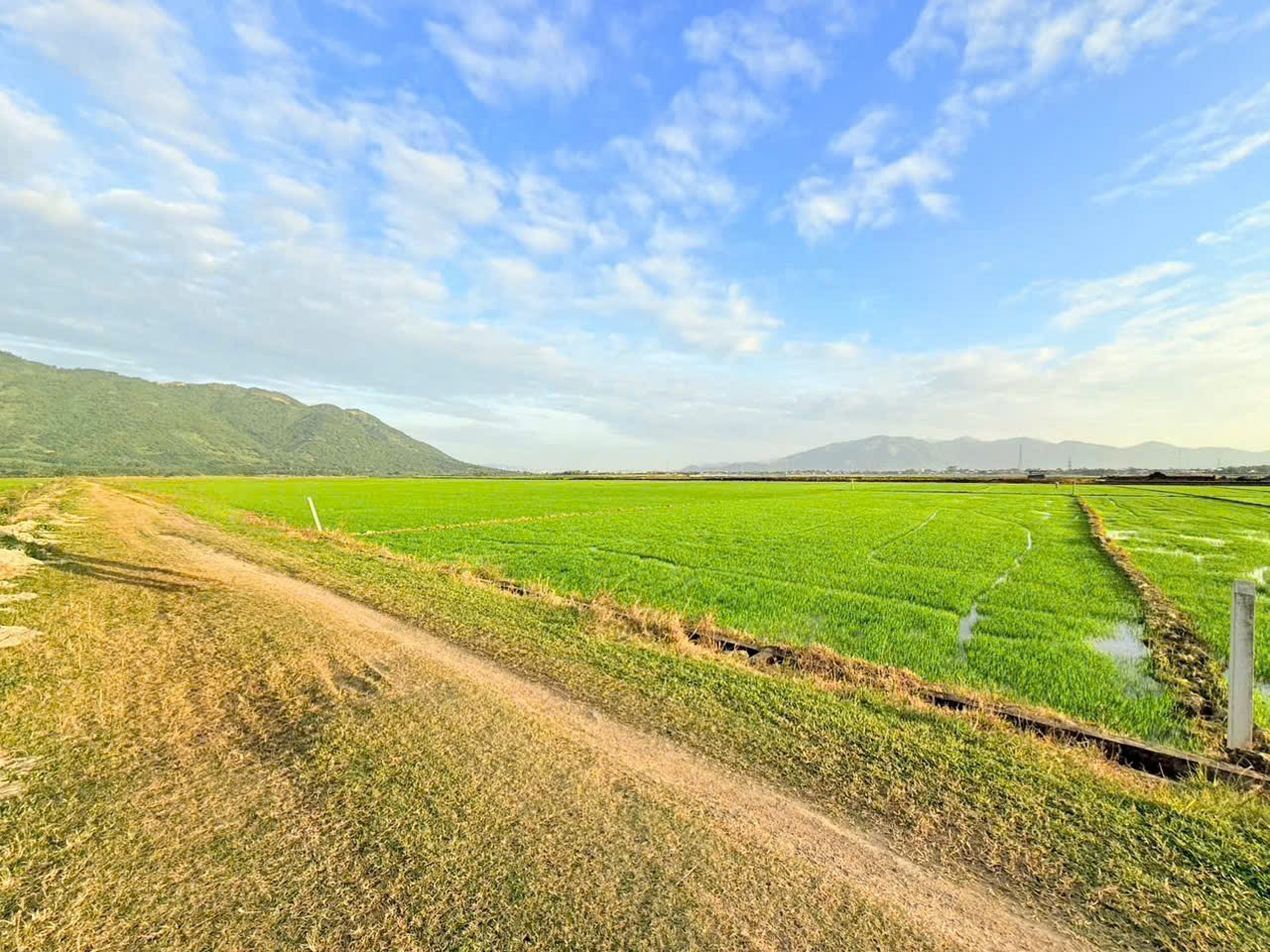 Bán ruộng Diên Điền thôn Trung 2 sát bên Hương Lộ 5 và Am Chúa chỉ 95 triệu 1 Sào 5