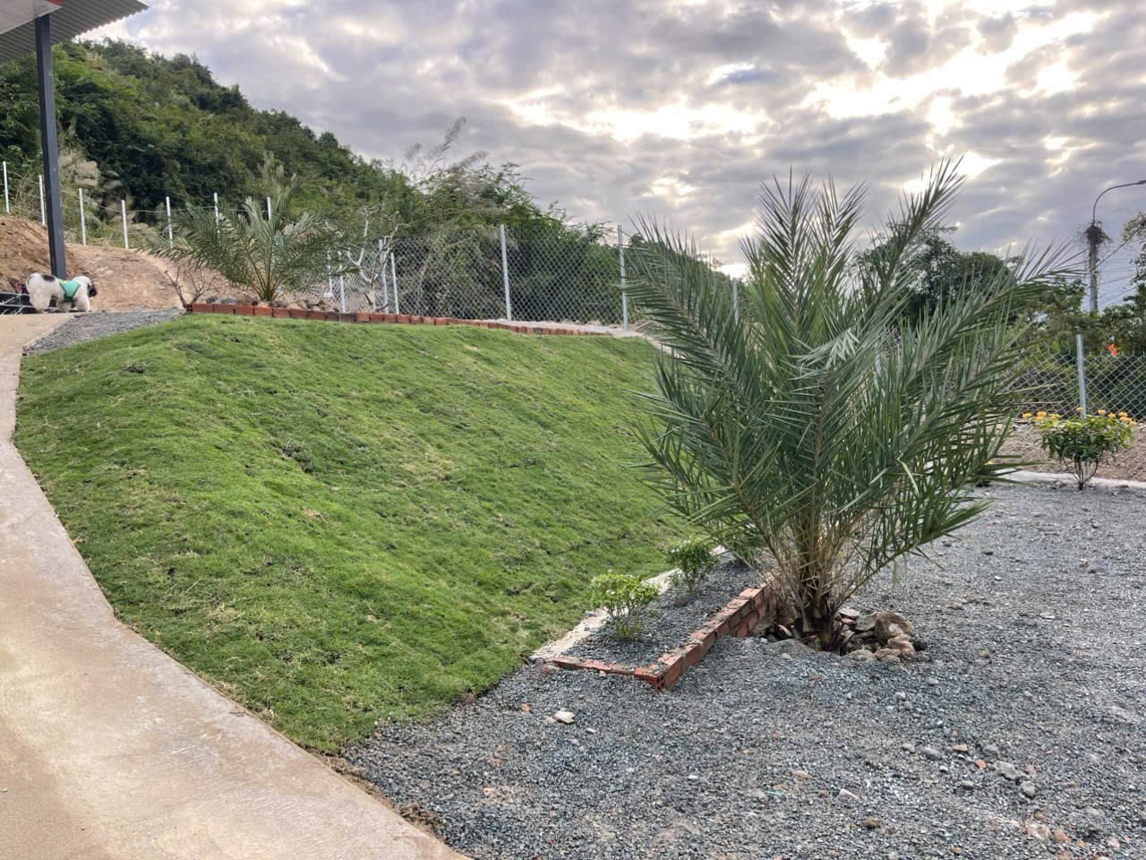 Bán đất mặt tiền Tỉnh Lộ 2 - Diên Thọ - Diên Khánh đã lên mô hình farm cơ bản 16