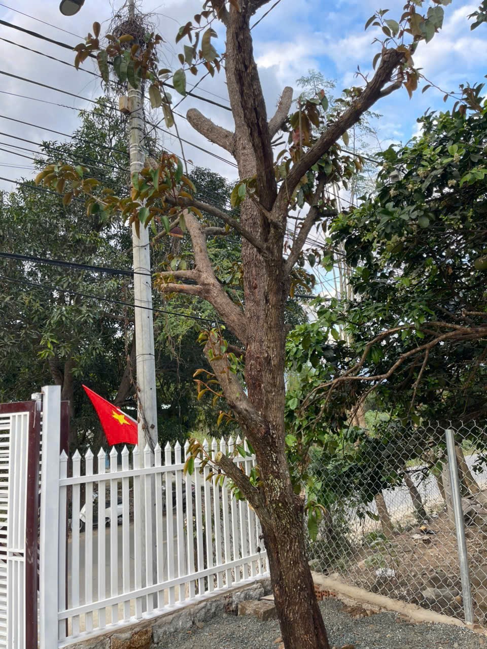 Bán đất mặt tiền Tỉnh Lộ 2 - Diên Thọ - Diên Khánh đã lên mô hình farm cơ bản 17