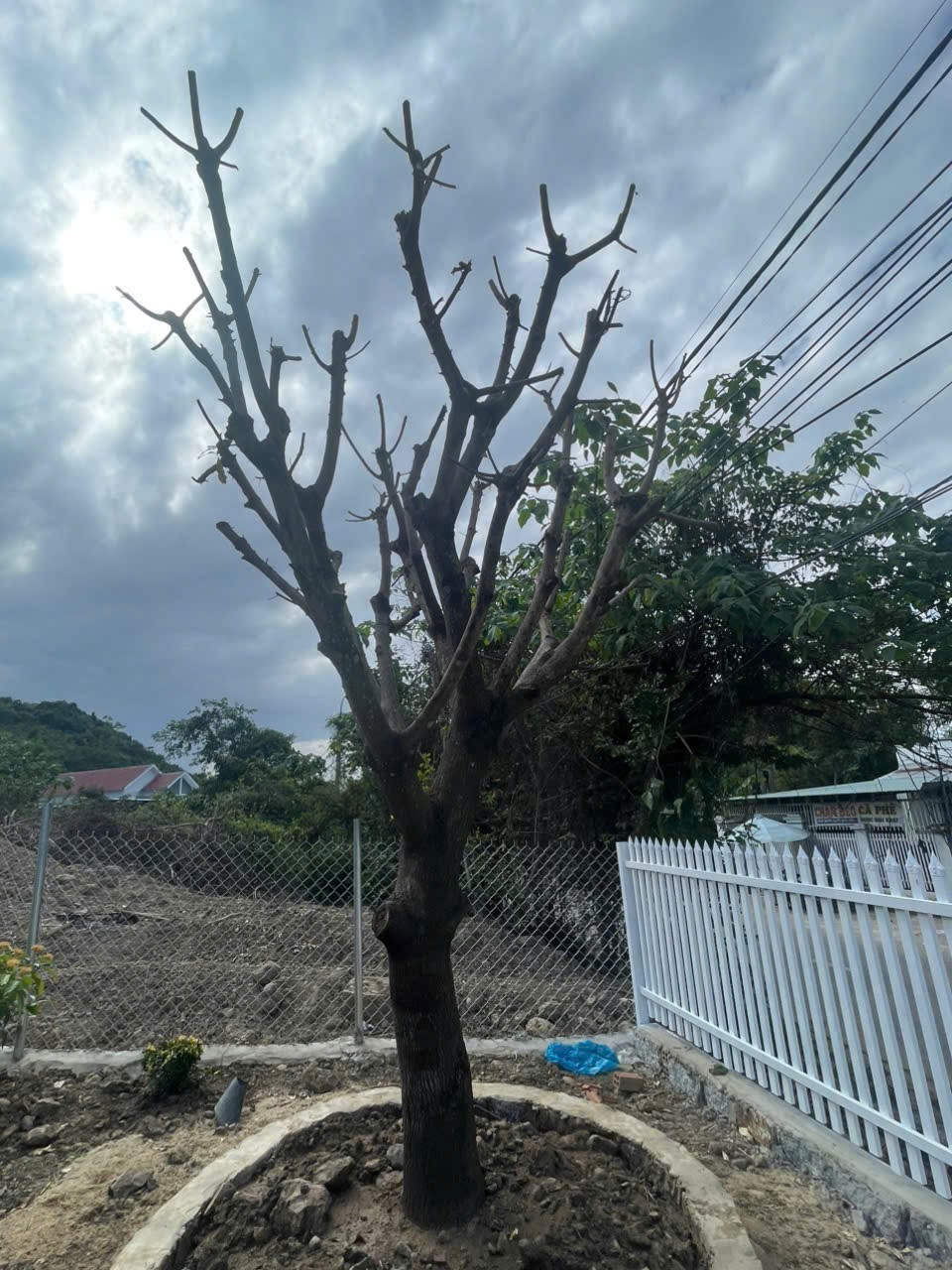 Bán đất mặt tiền Tỉnh Lộ 2 - Diên Thọ - Diên Khánh đã lên mô hình farm cơ bản 19