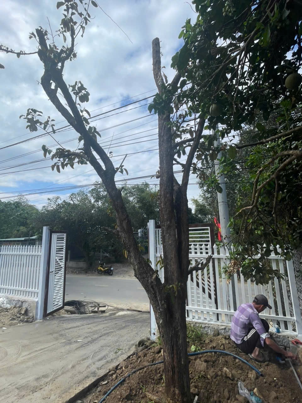 Bán đất mặt tiền Tỉnh Lộ 2 - Diên Thọ - Diên Khánh đã lên mô hình farm cơ bản 23