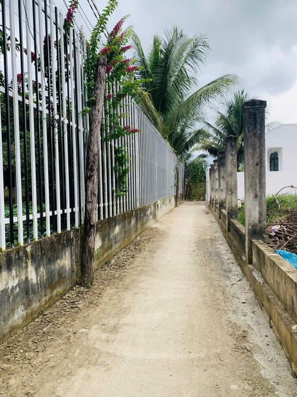 Bán đất Diên Điền thôn Trung 3 gần Hương Lộ 5 - dân cư đông đúc 2