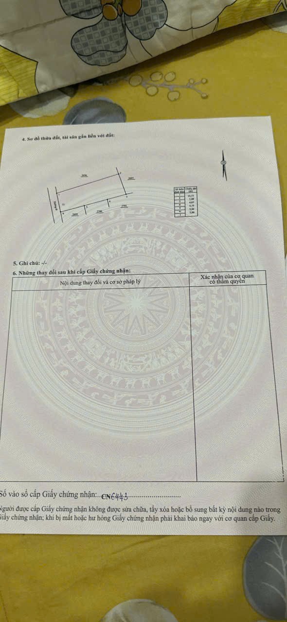 Bán đất Diên Điền thôn Trung 3 gần Hương Lộ 5 - dân cư đông đúc 6