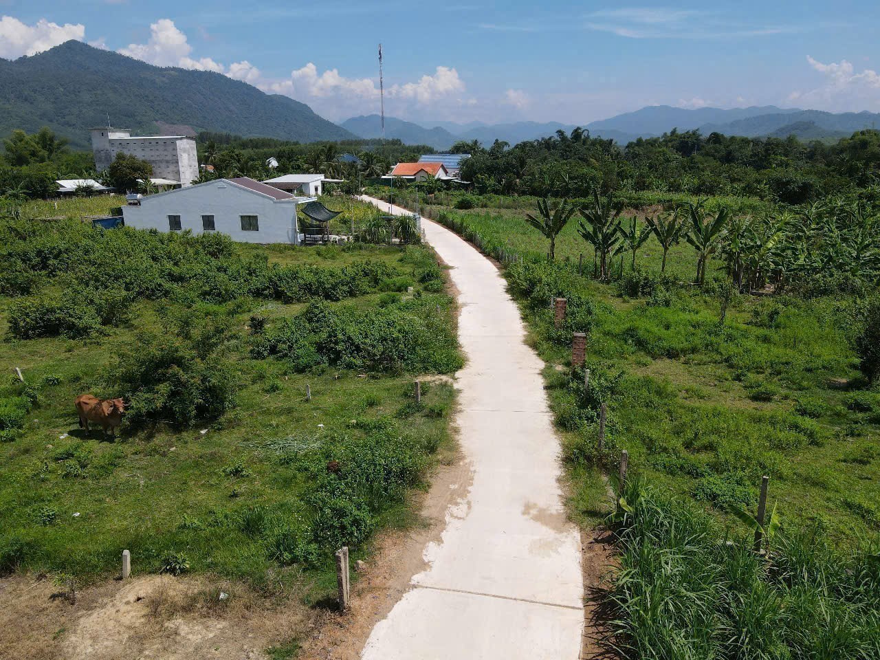 Bán đất Khánh Hiệp thôn Cà Thiêu giá rẻ có thổ sát bên đường liên xã K25