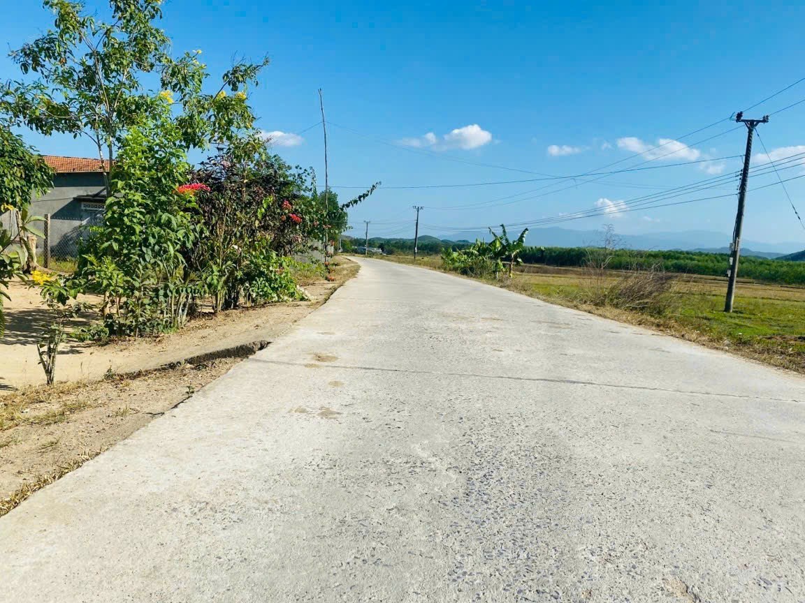 Bán đất Khánh Bình giá rẻ gần trường tiểu học mặt đường bê tông nội thôn 4