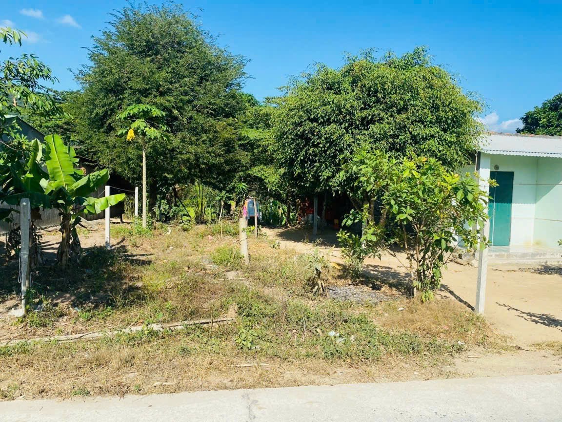 Bán đất Khánh Bình giá rẻ gần trường tiểu học mặt đường bê tông nội thôn 6