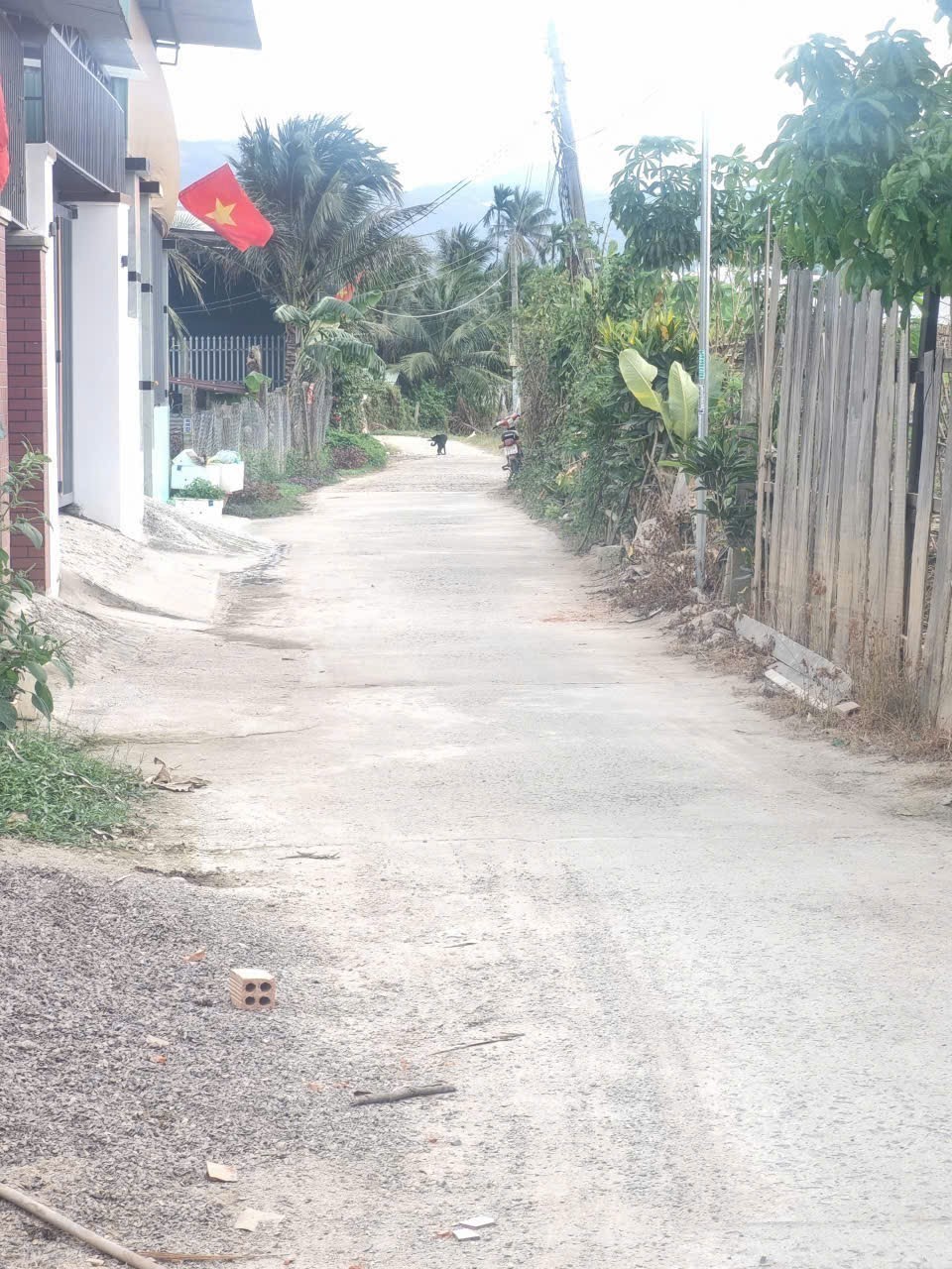 Bán đất Diên Điền giá rẻ full thổ thôn Đông 3 cách chợ 500m - dân cư đông 5