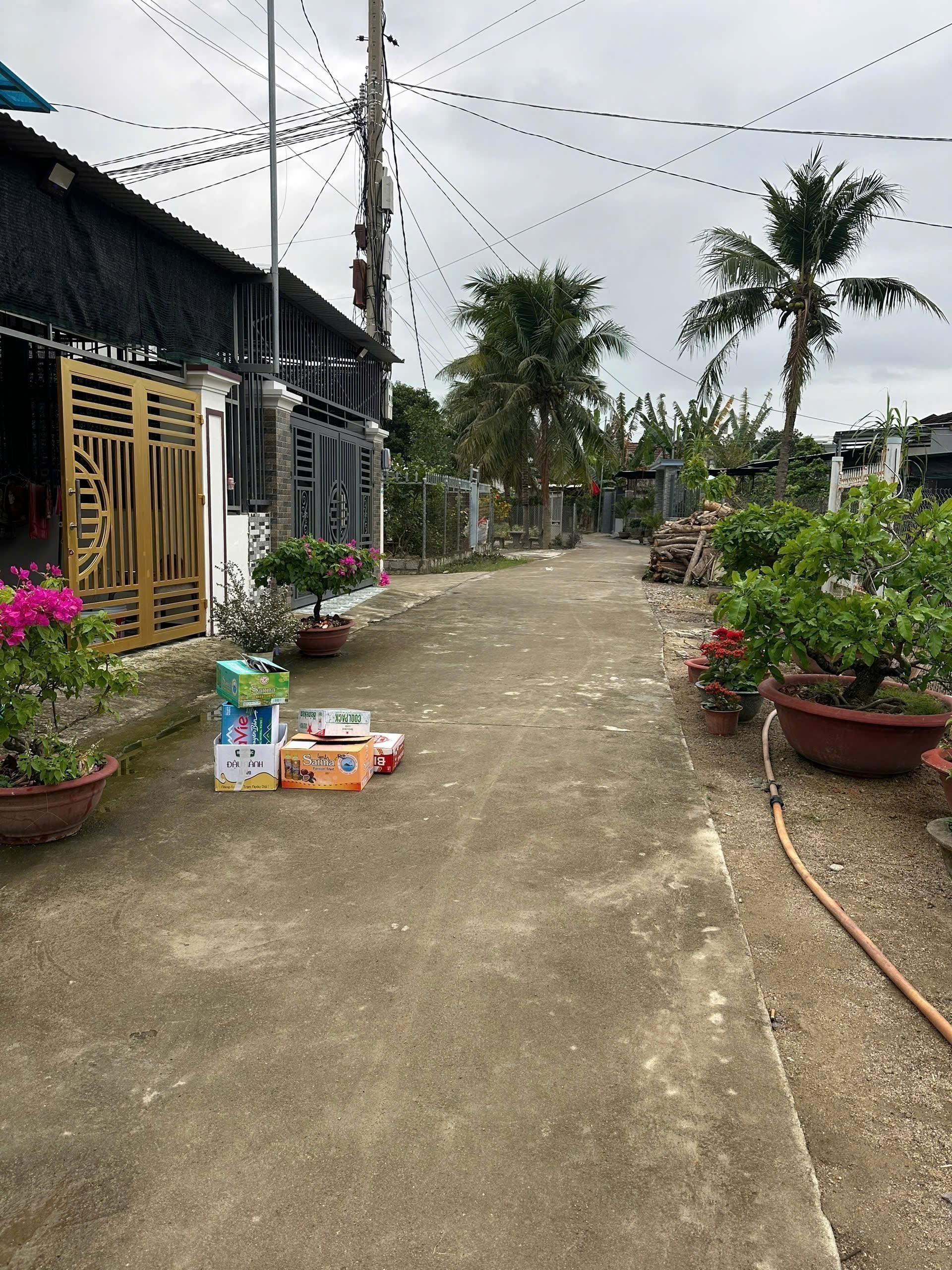 Bán đất Diên Sơn giá rẻ hẻm đường Đồng Ngôn ô tô vào tận nơi 2