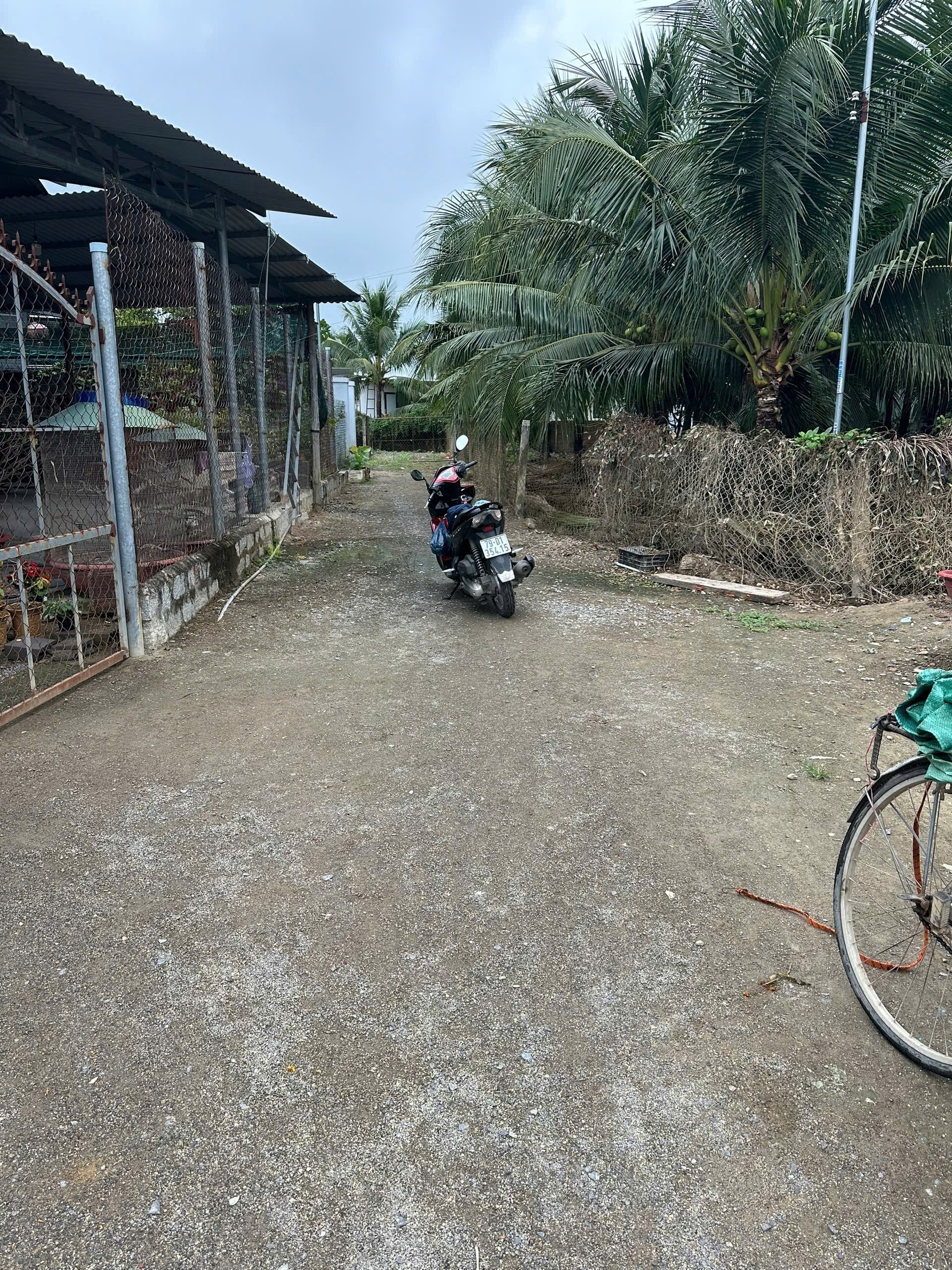 Bán đất Diên Sơn giá rẻ hẻm đường Đồng Ngôn ô tô vào tận nơi 3