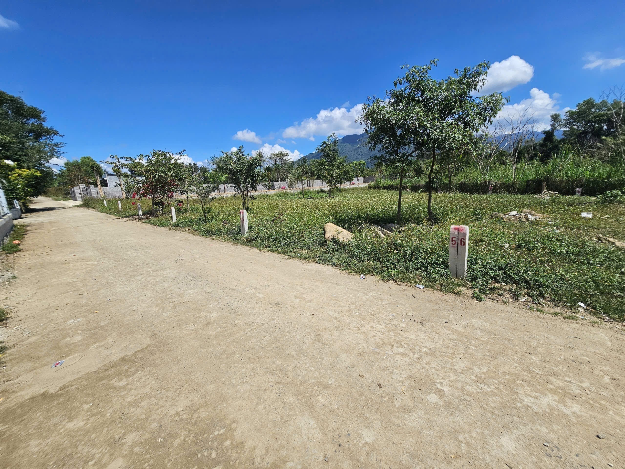 Bán đất Diên Đồng giá rẻ mặt đường bê tông 5m thông ngay nhà văn hoá thôn 2